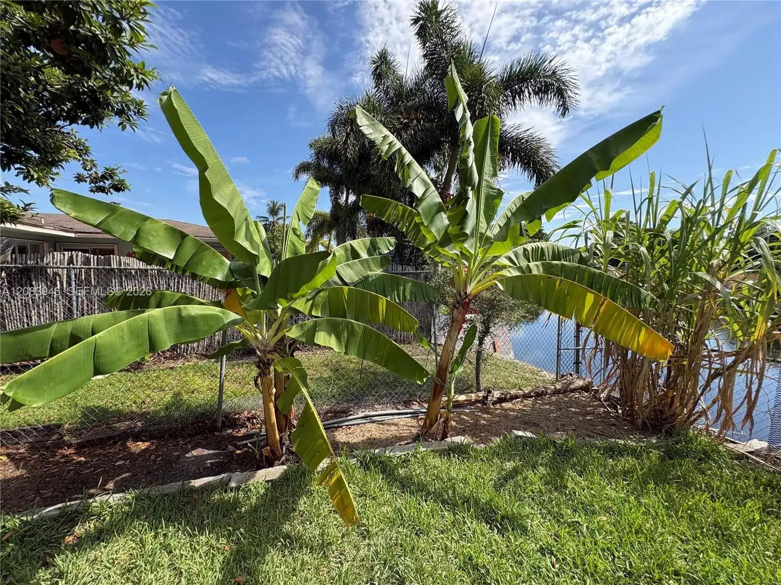 8250 NW 66th Ter, Tamarac FL 33321 photo 5