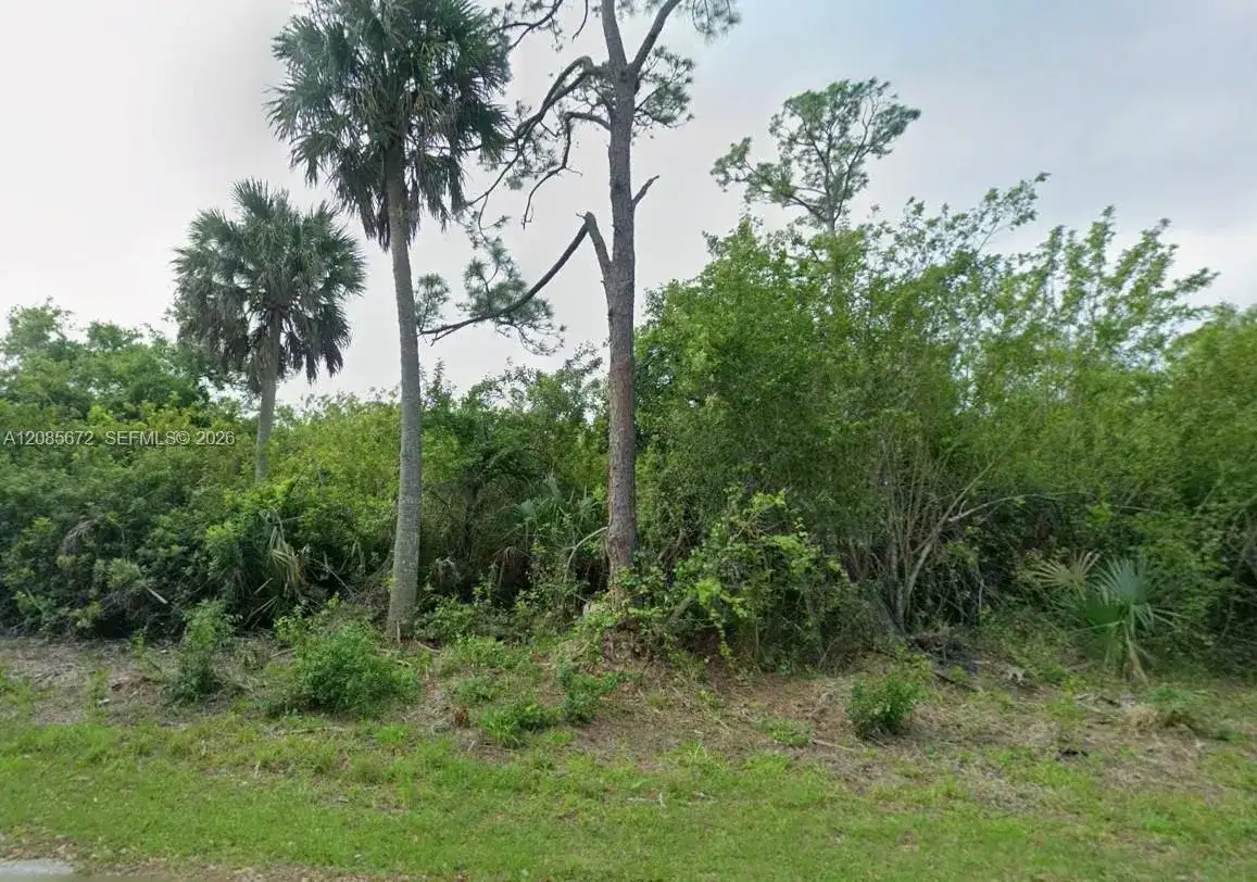 23351 Buckner Ave, Port Charlotte FL 33980 photo 2