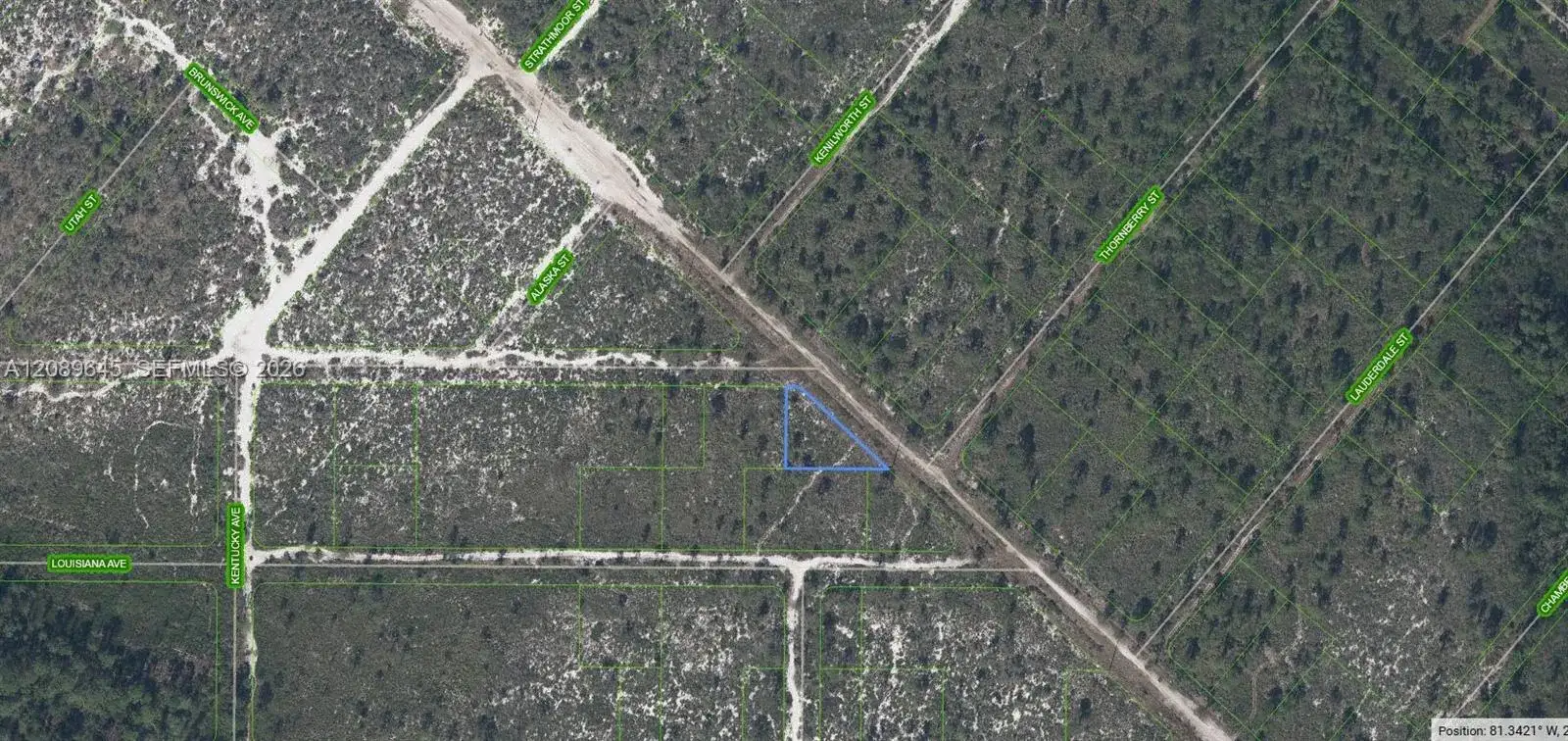 536 Nevada Avenue, Lake Placid FL 33852 photo 2