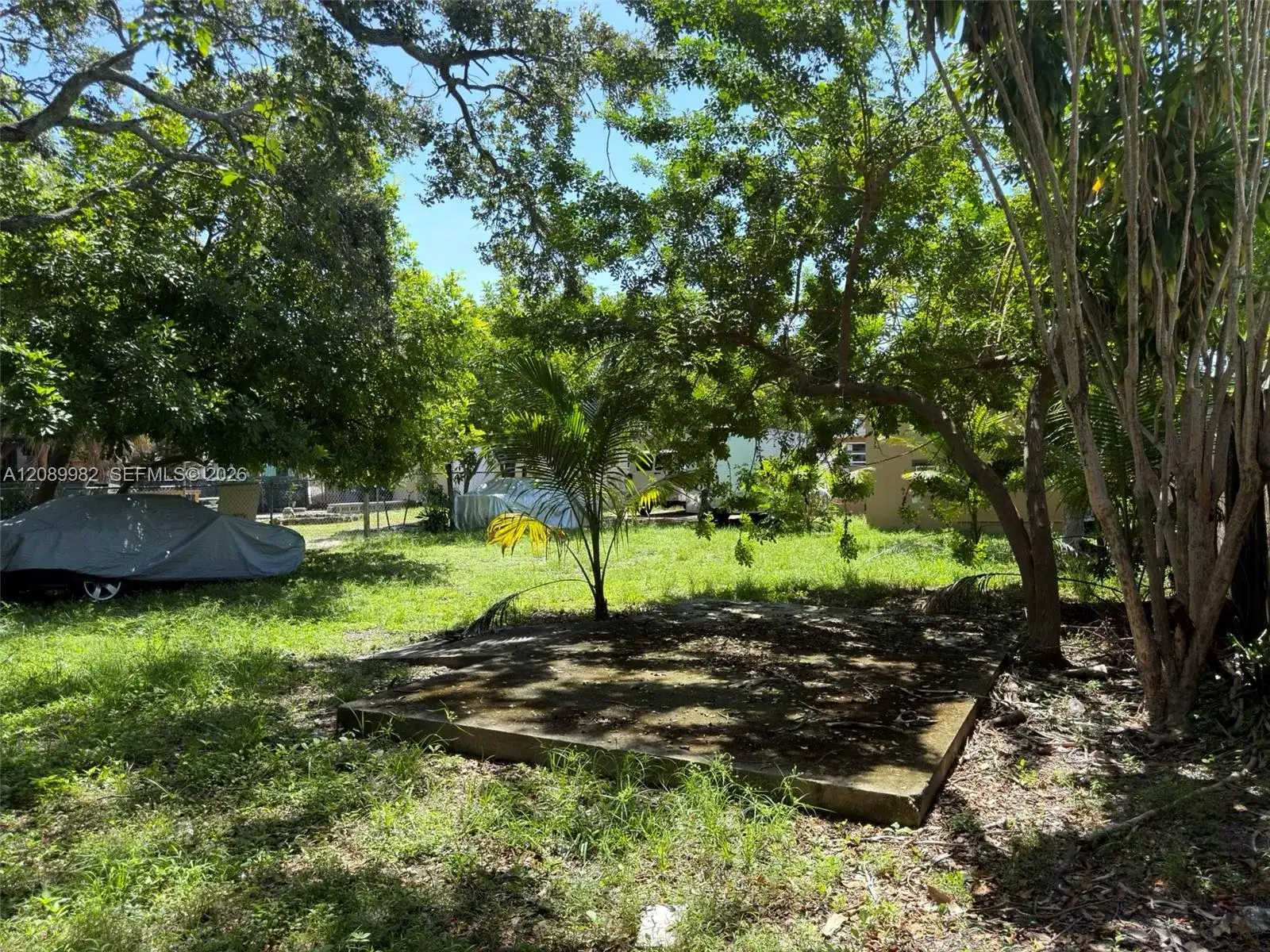 113 SE 4th St, Hallandale Beach FL 33009 photo 5