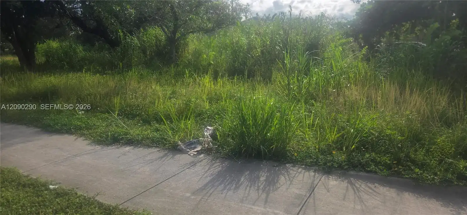 272 SW 143 Ct, Homestead FL 33032 photo 3
