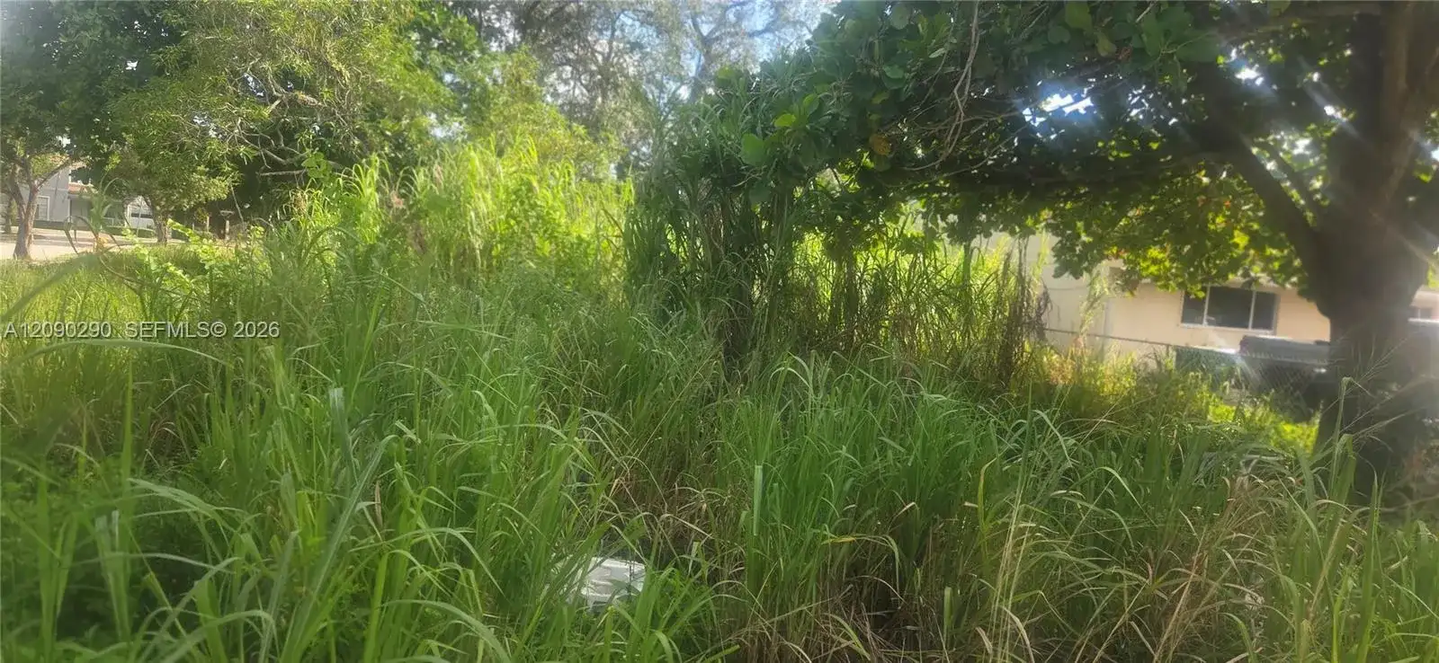 272 SW 143 Ct, Homestead FL 33032 photo 4