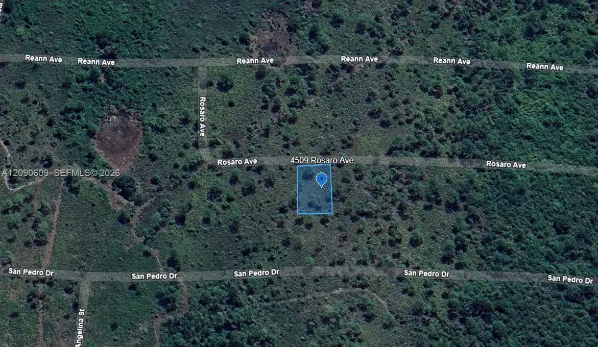 4509 Rosaro Ave, Sebring FL 33872 photo 2