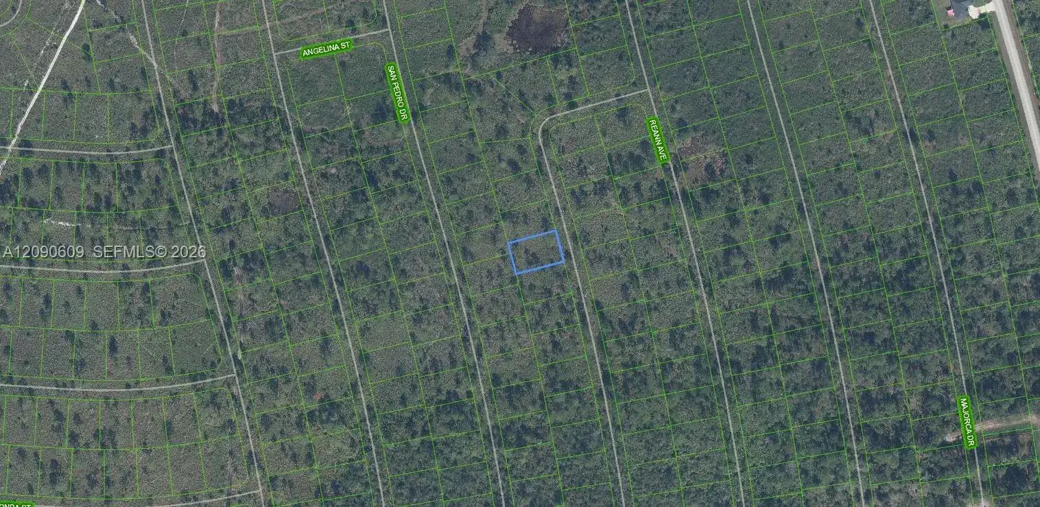 4509 Rosaro Ave, Sebring FL 33872 photo 5
