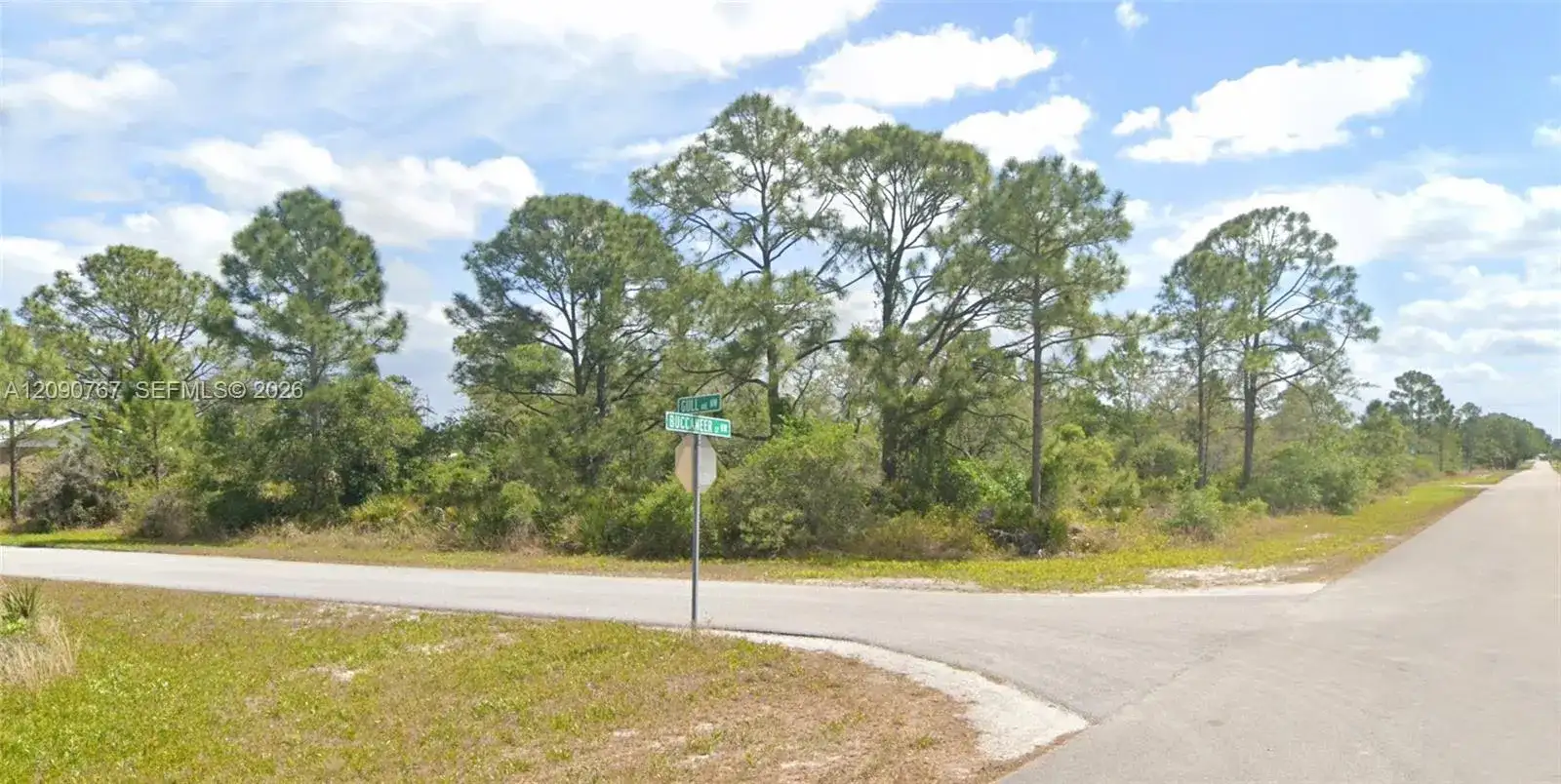 645 Buccaneer St NW, Lake Placid FL 33852 photo 2