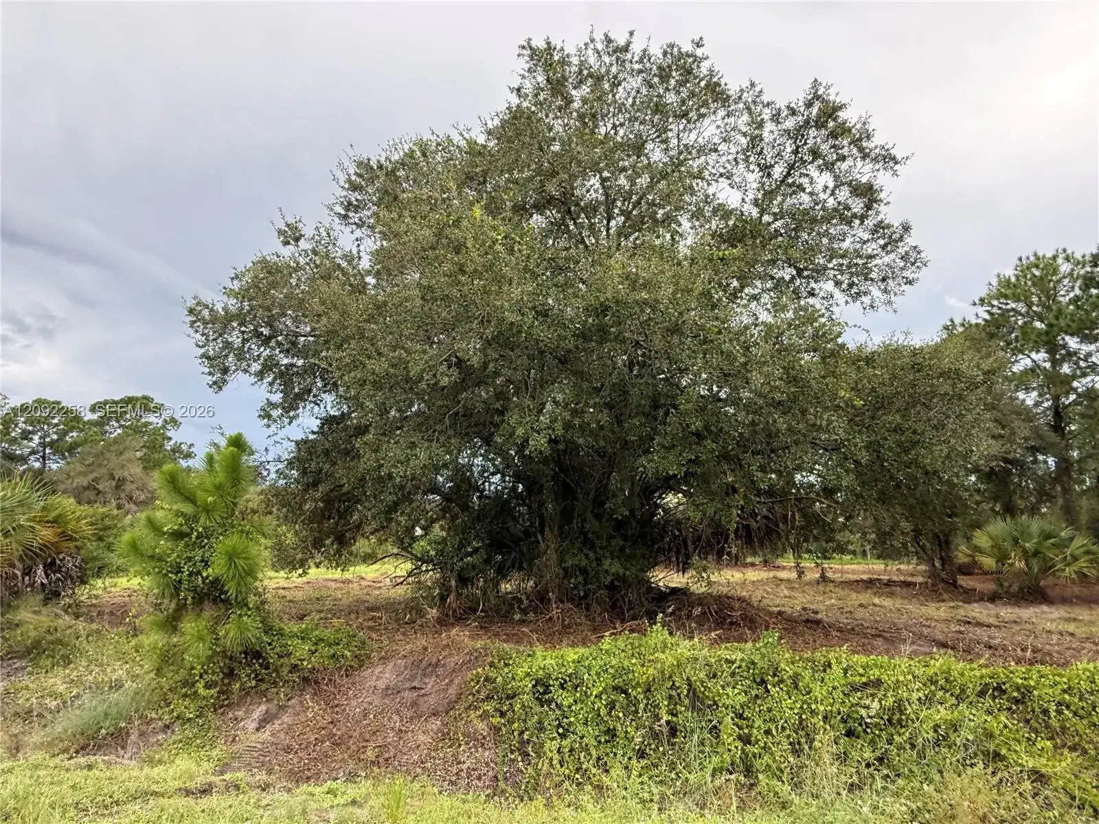 380 S LINDERO ST, Clewiston FL 33440 photo 3