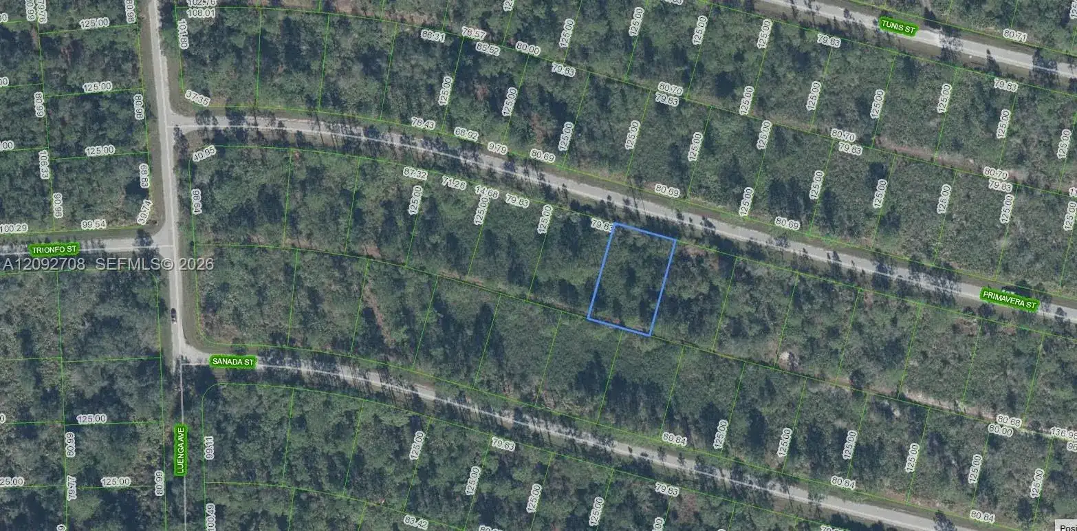 8637 Primavera Street, Sebring FL 33872 photo 2