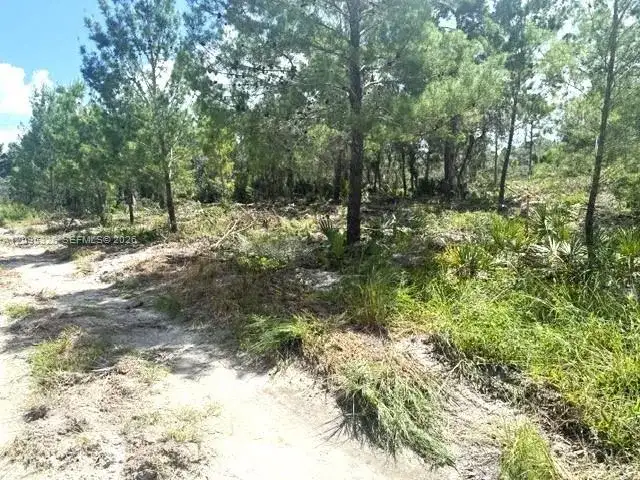 206 Oriole Avenue, Sebring FL 33870 photo 5