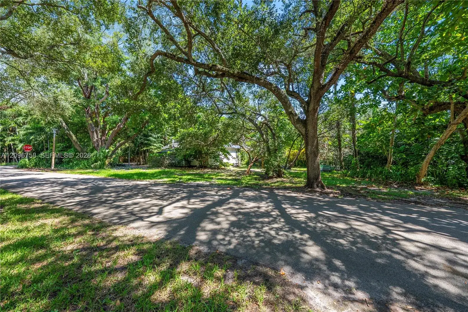 3598 Avocado Ave, Miami FL 33133 photo 3