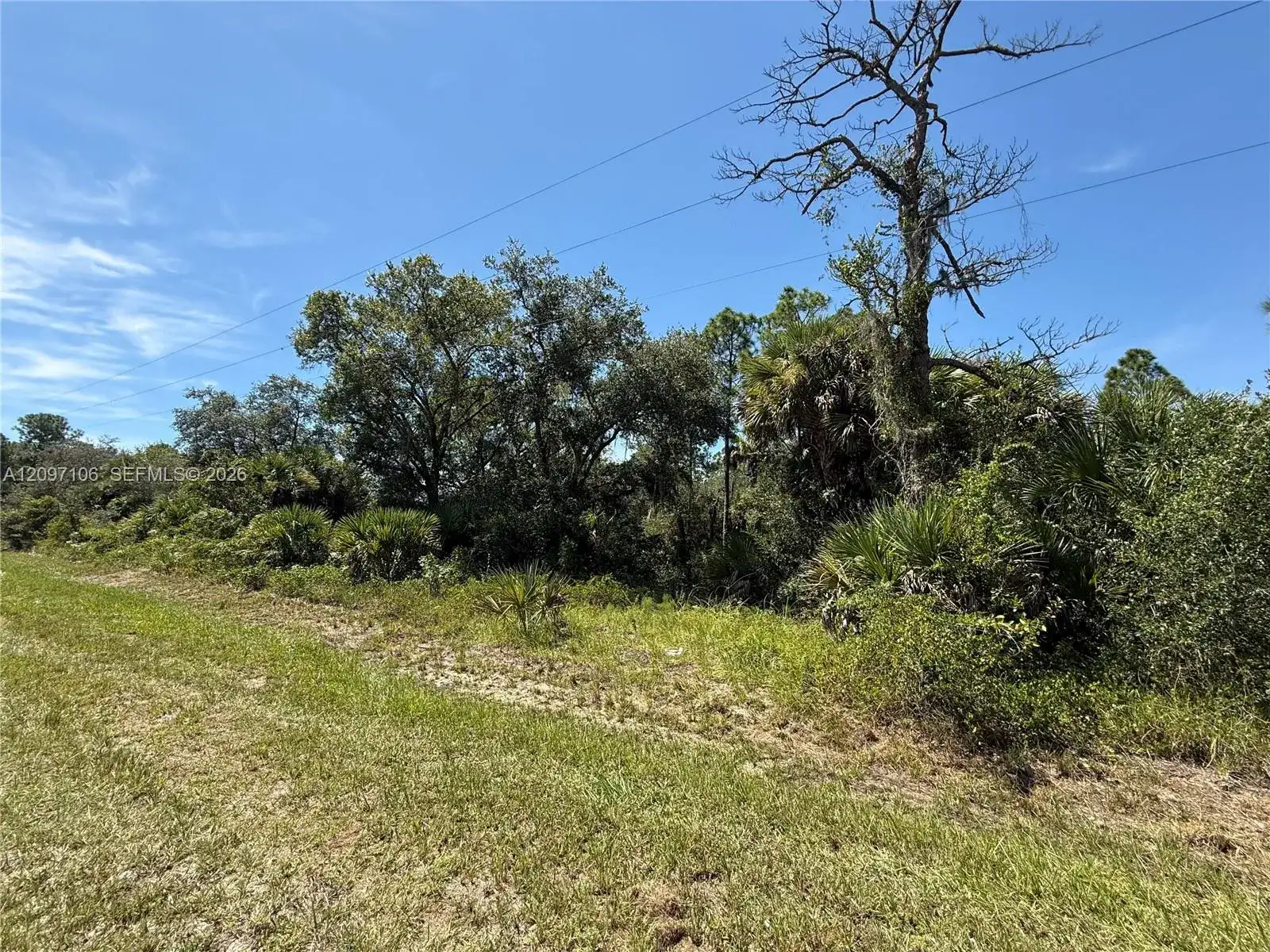 530 S GRANJA ST, Clewiston FL 33440 photo 3