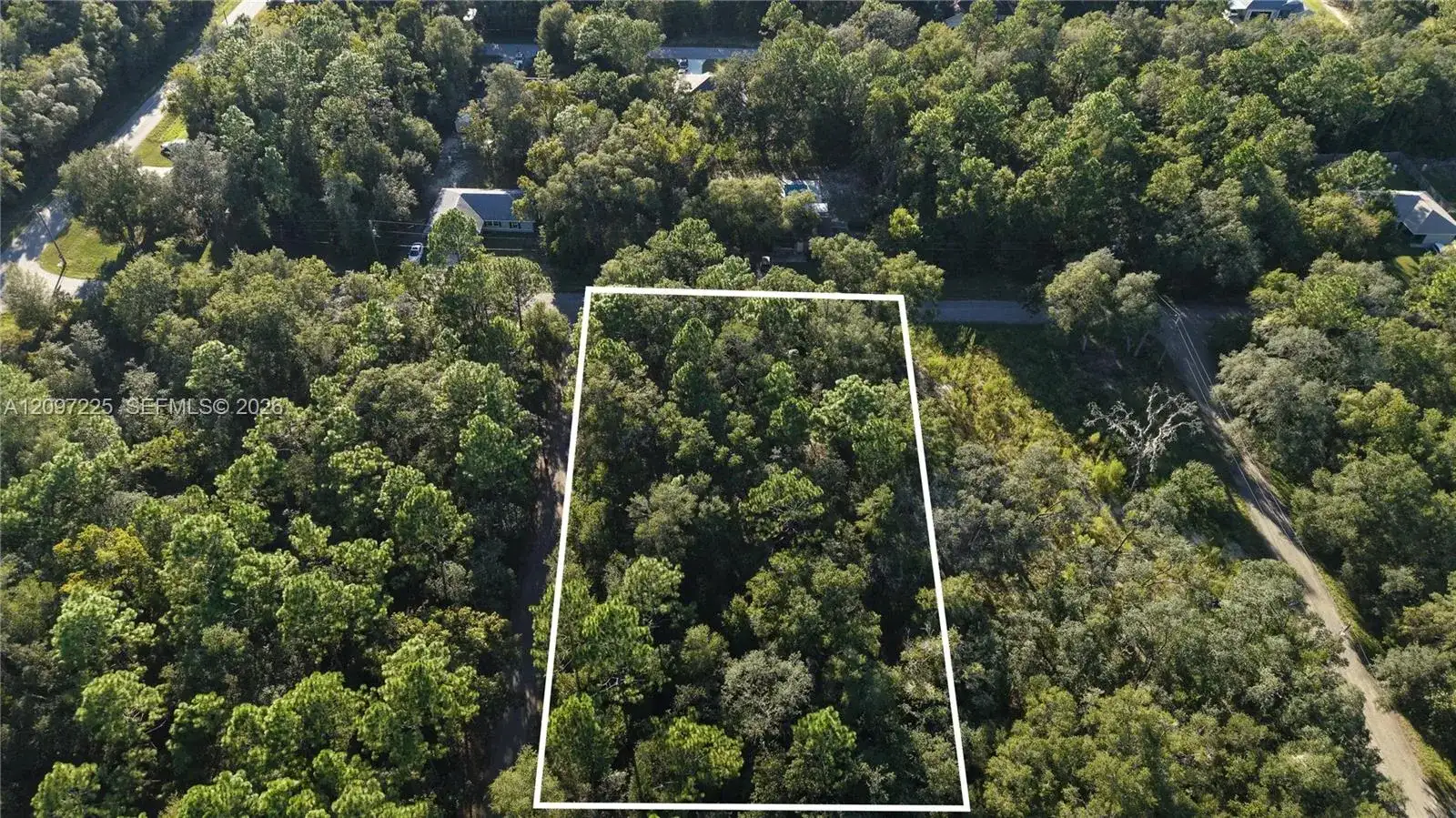 3109 E MILLSIDE LN, Inverness FL 34453 photo 3