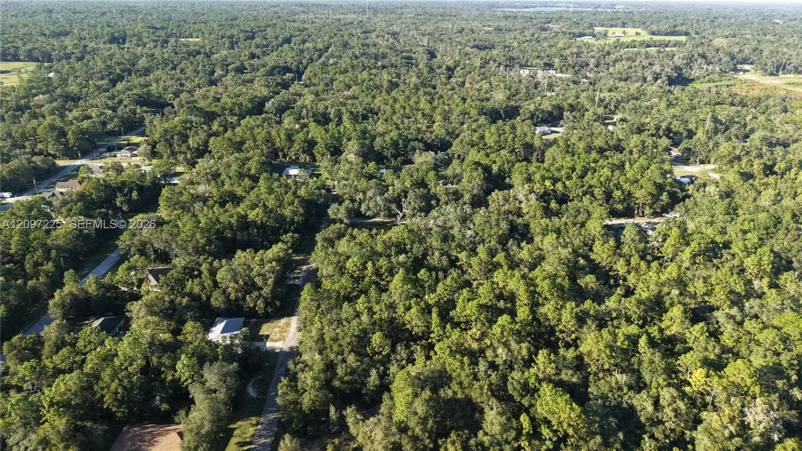 3109 E MILLSIDE LN, Inverness FL 34453 photo 4