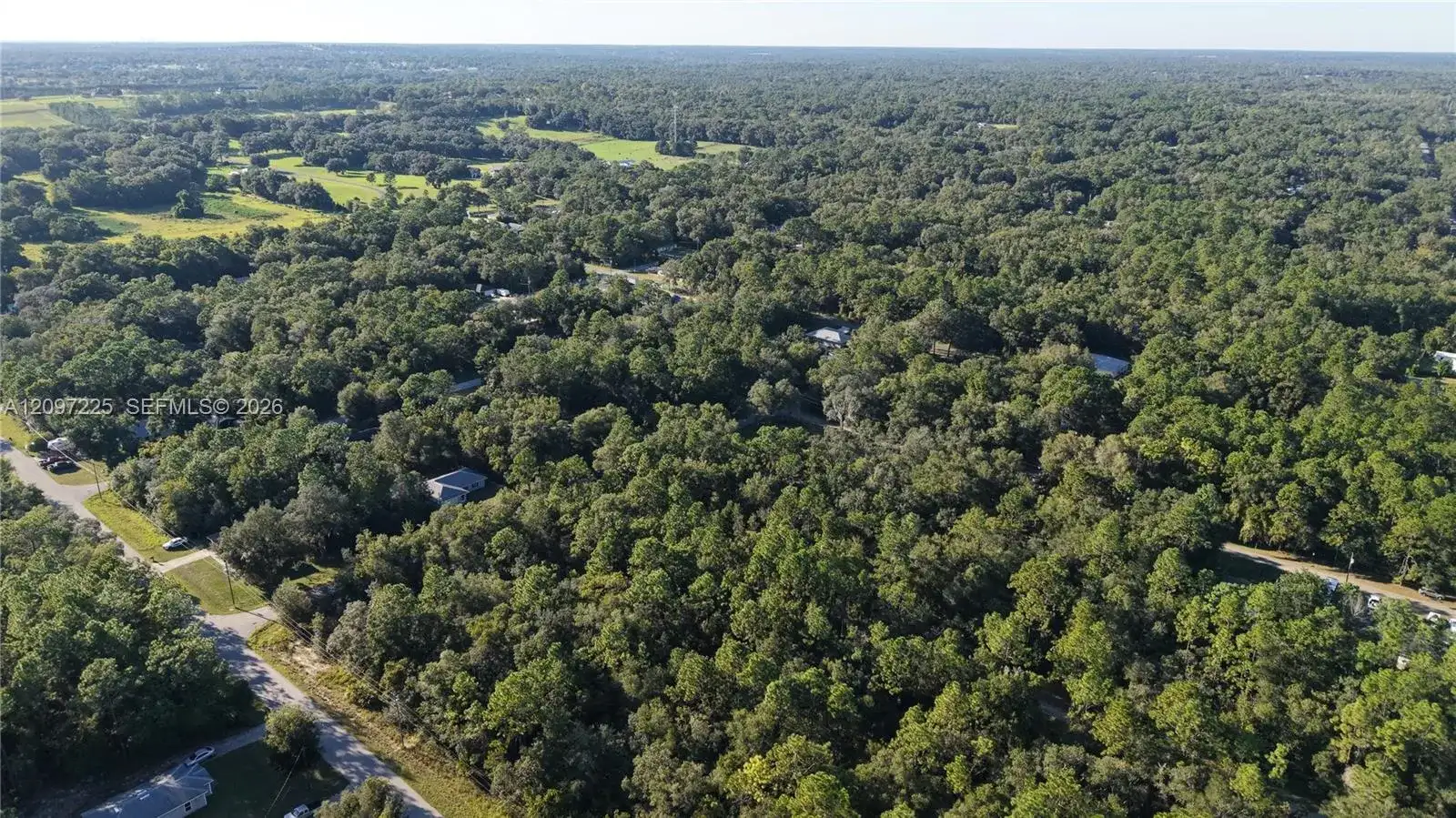3109 E MILLSIDE LN, Inverness FL 34453 photo 5