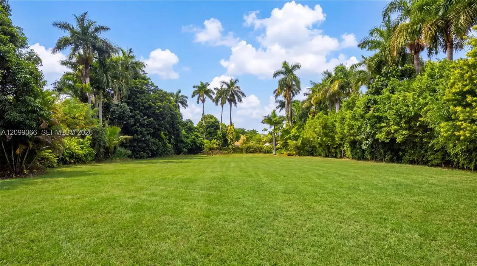 14000 NE 1st Ave, Miami FL 33161 photo 4