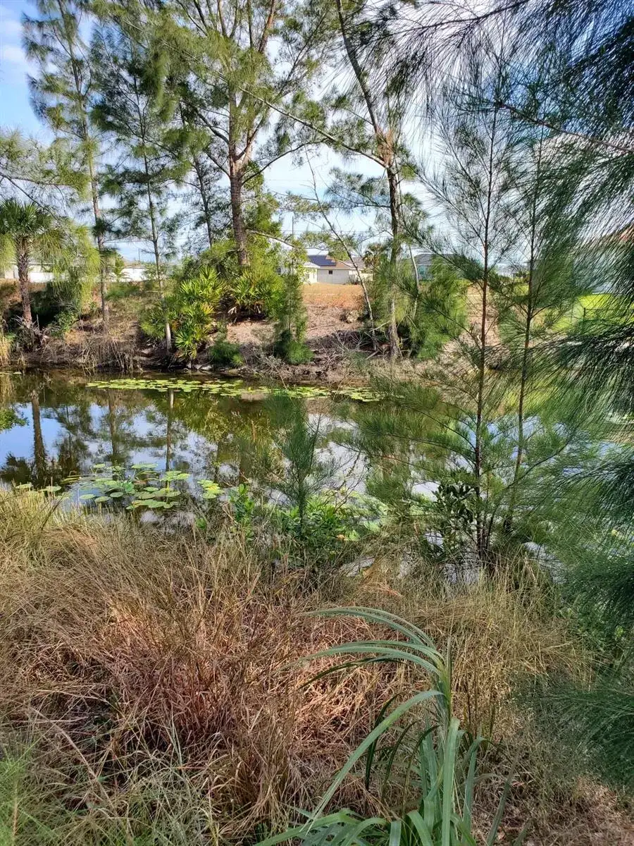 3905 NE 9th Avenue, Cape Coral FL 33909 photo 2