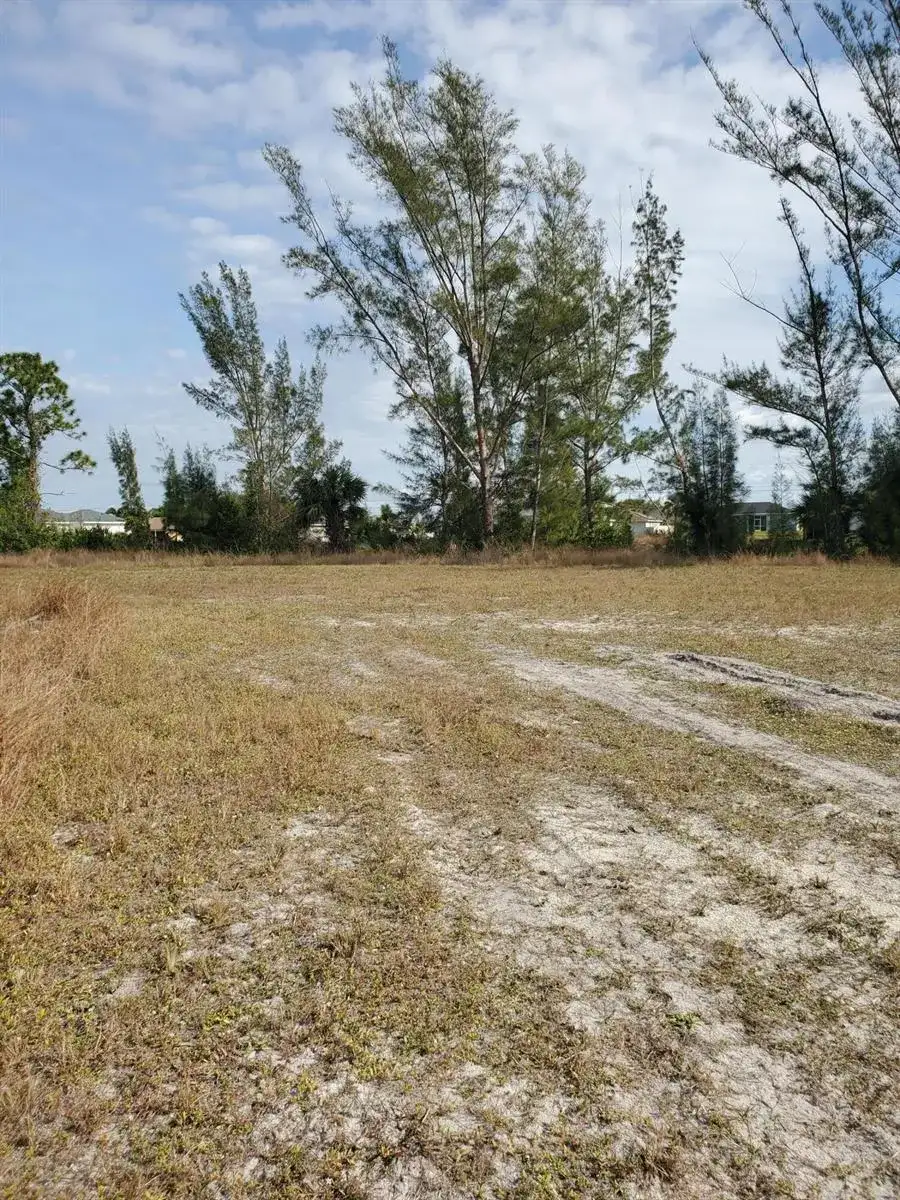 3905 NE 9th Avenue, Cape Coral FL 33909 photo 5