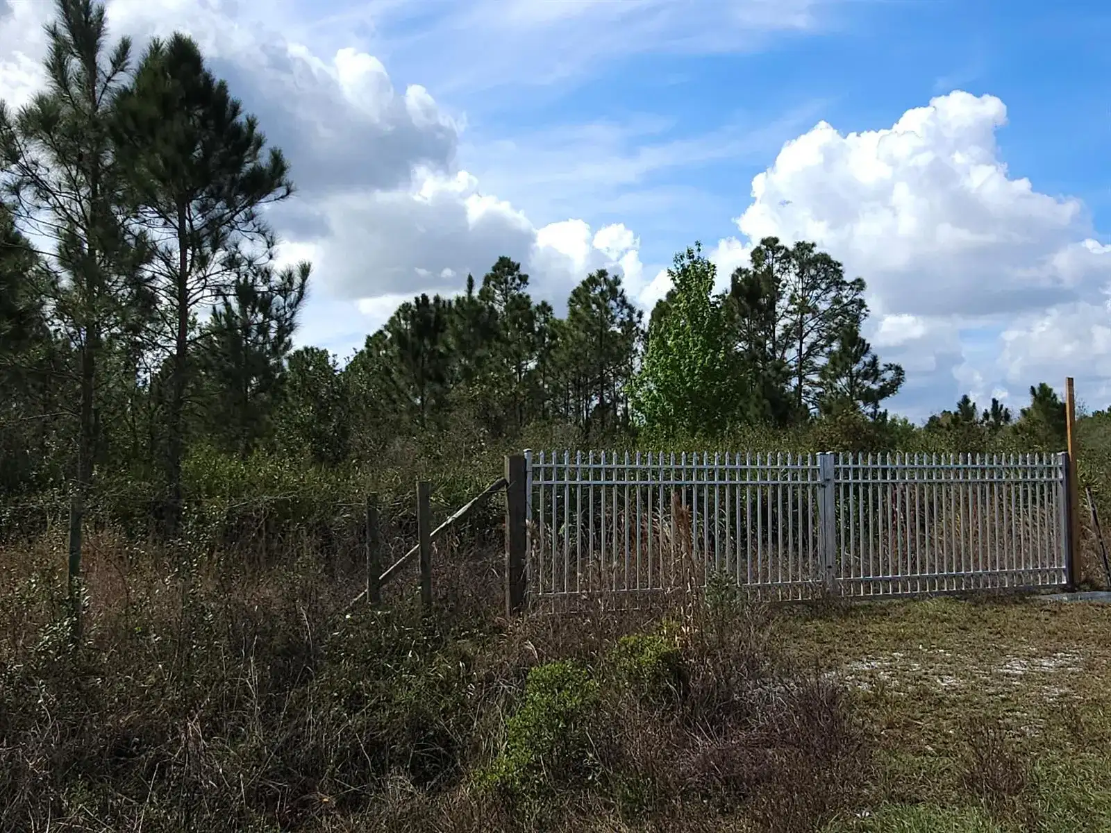 17720 NW 268th Street, Okeechobee FL 34972 photo 3