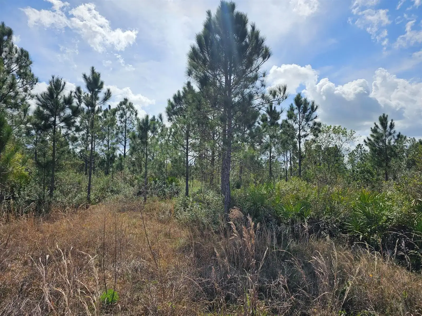 17720 NW 268th Street, Okeechobee FL 34972 photo 5