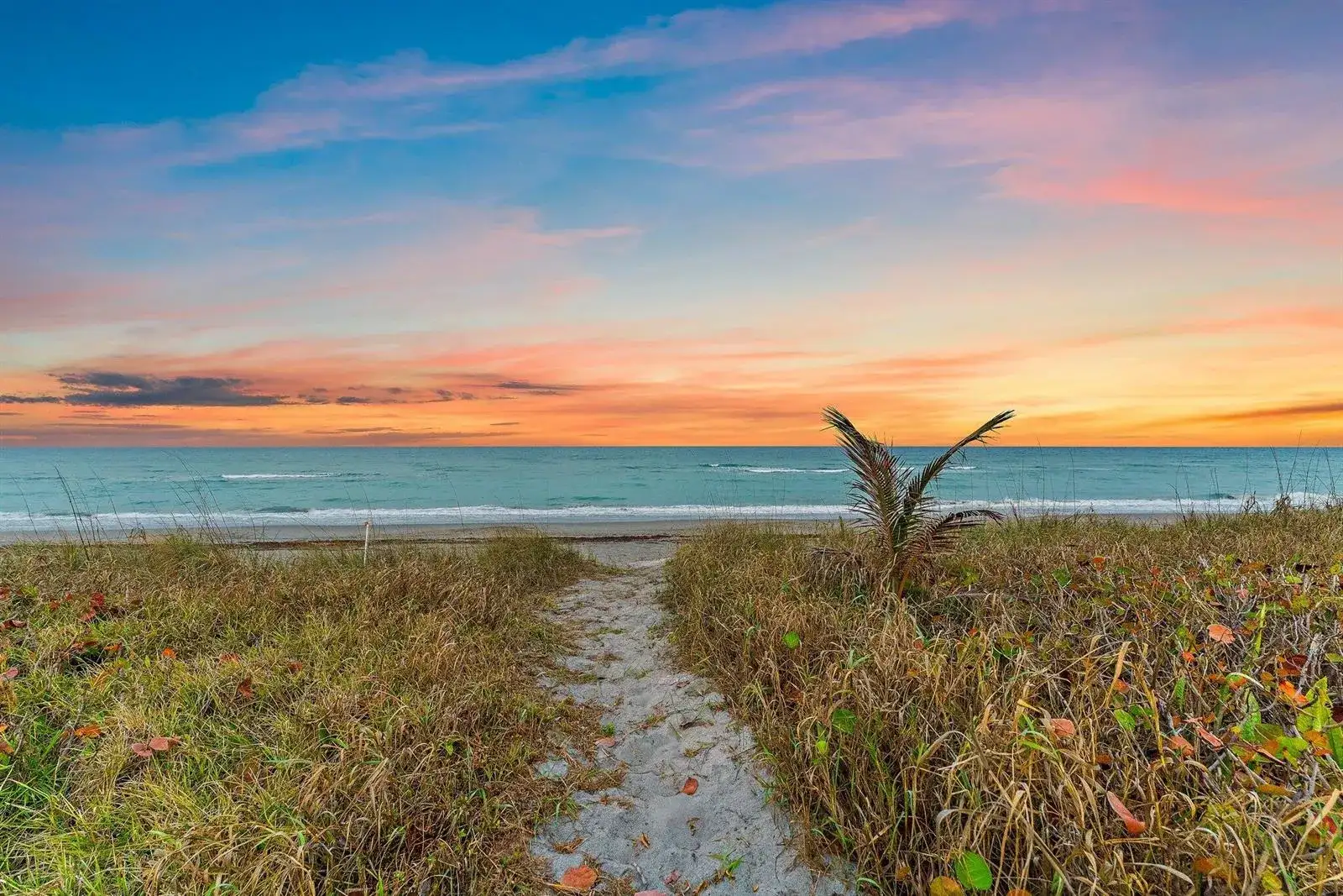 31 N Beach Road, Jupiter Island FL 33455 photo 2