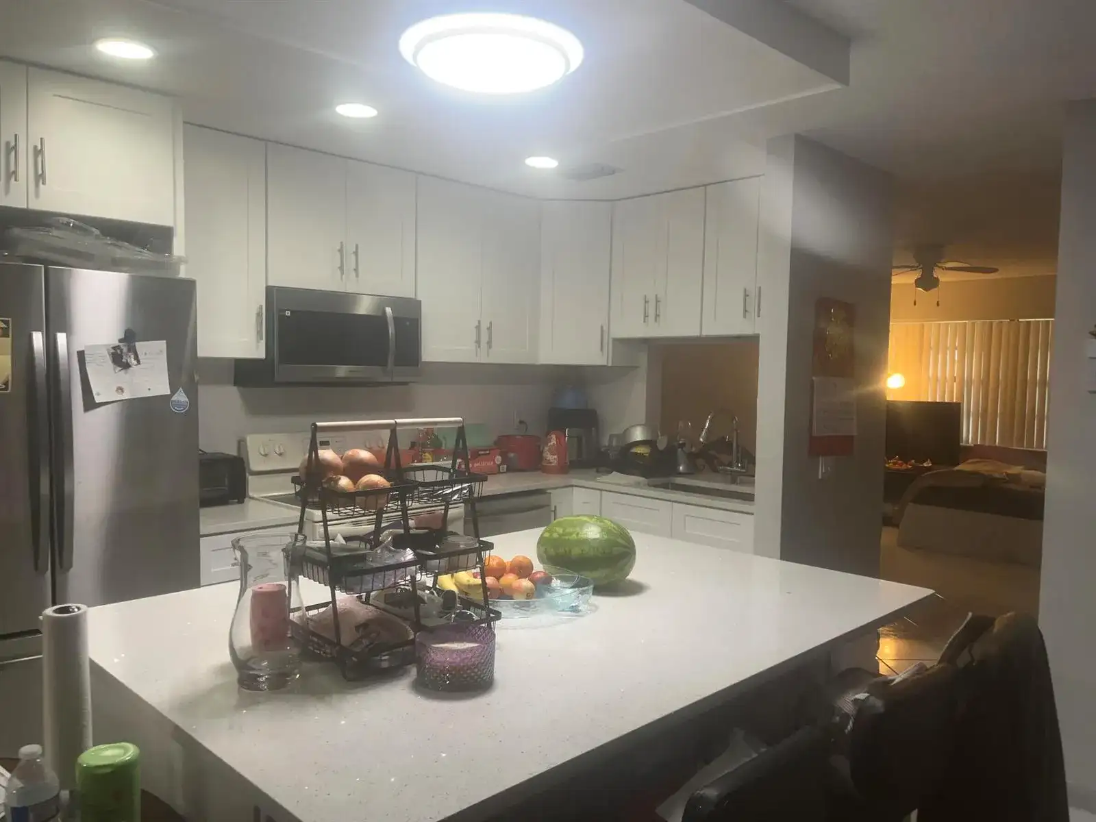 1322 Pines Lane, West Palm Beach FL 33415 photo 2