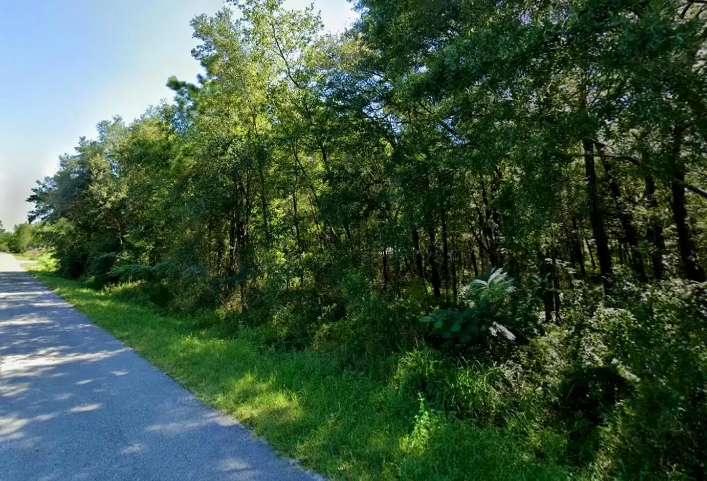 Lot 29 NW 112th Avenue, Ocala FL 34482 photo 2