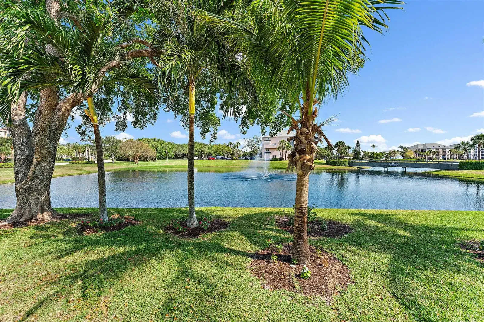 353 S Us Hwy 1 # B8, Jupiter FL 33477 photo 5