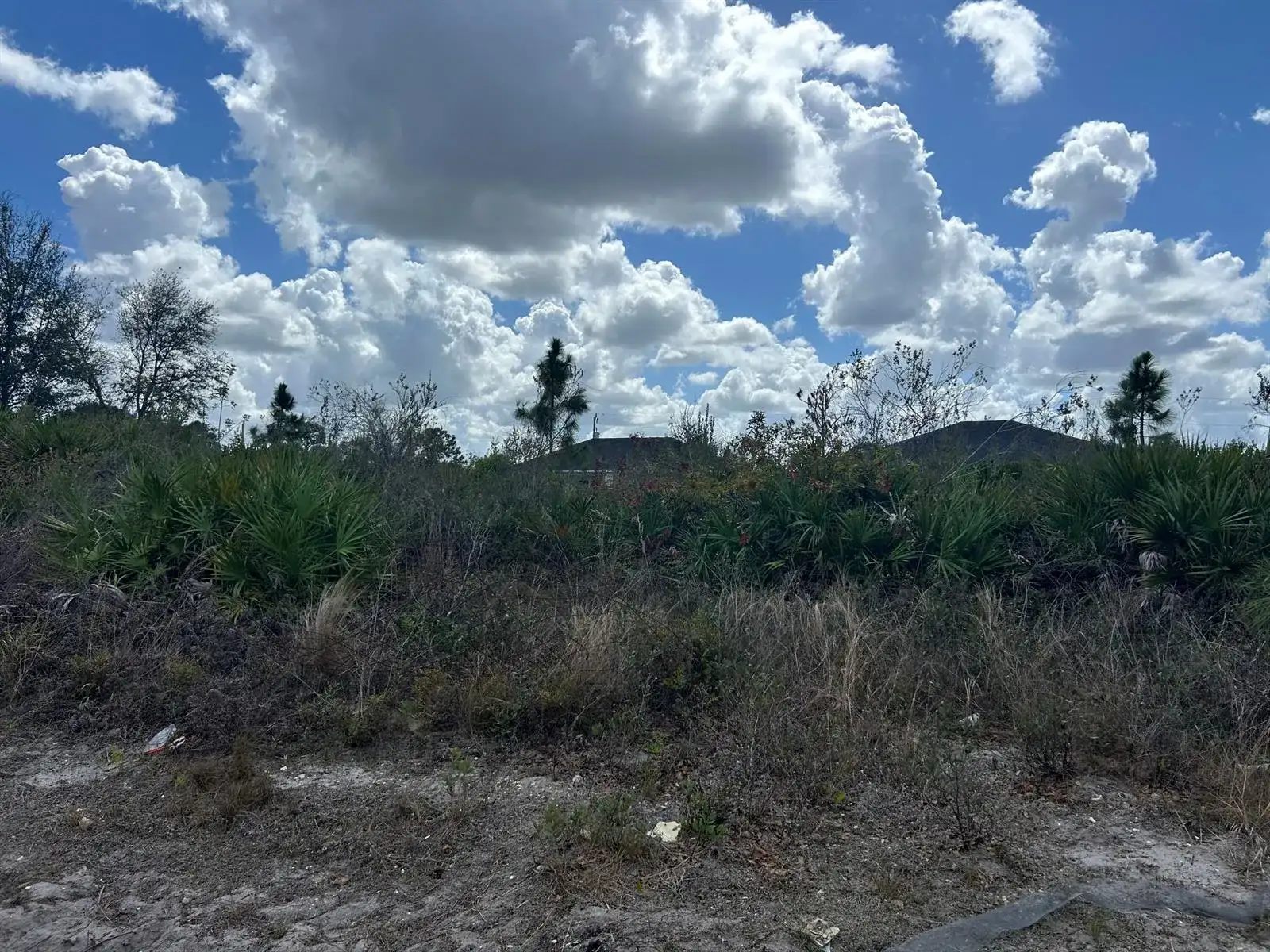 3205 8th Street W, Lehigh Acres FL 33971 photo 3