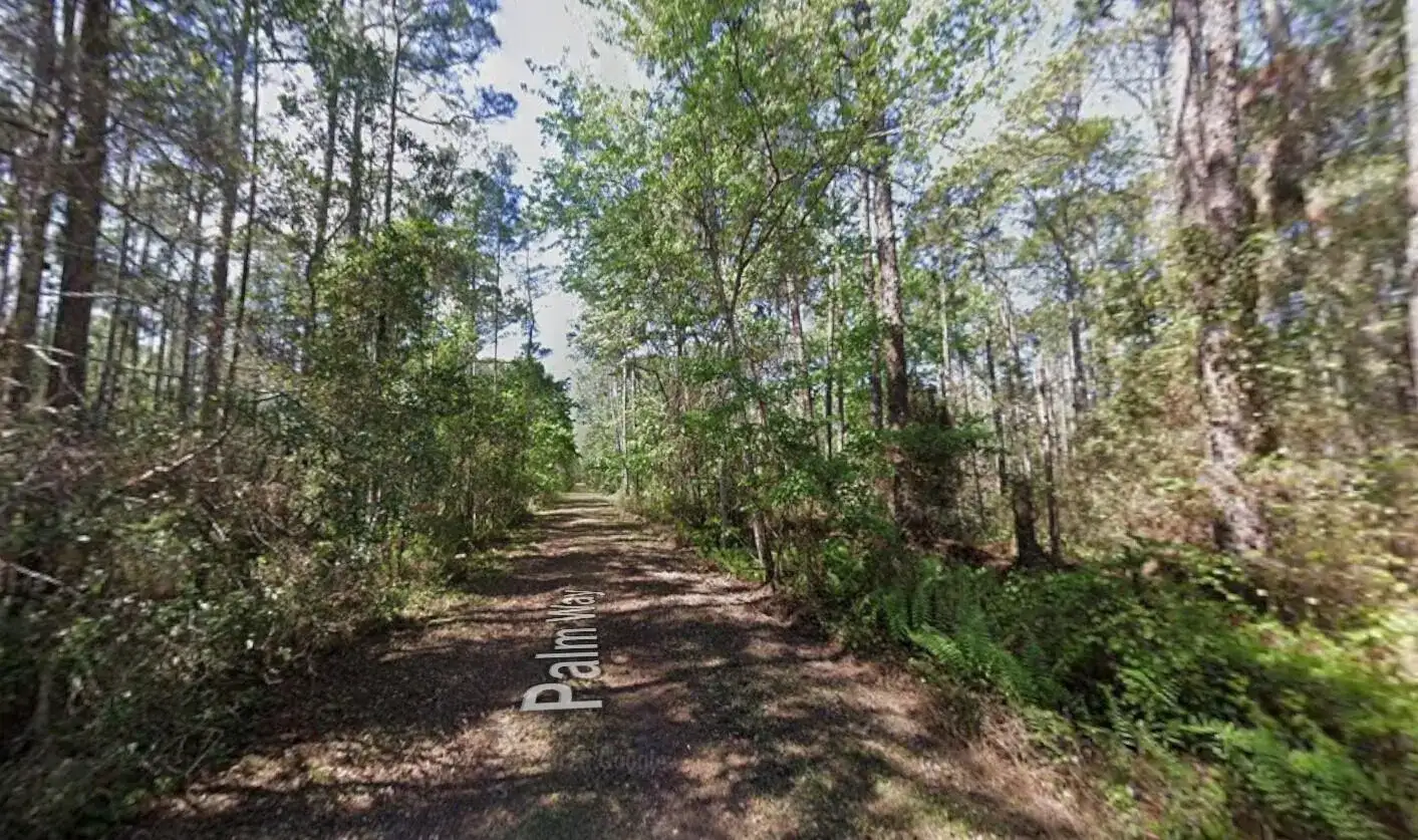 418 Palm Way, FL 32139 photo 2