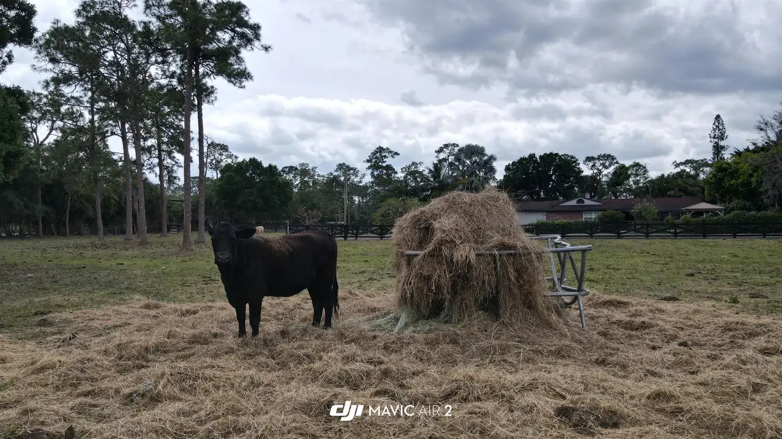 3547 161st Terrace N, FL 33470 photo 2