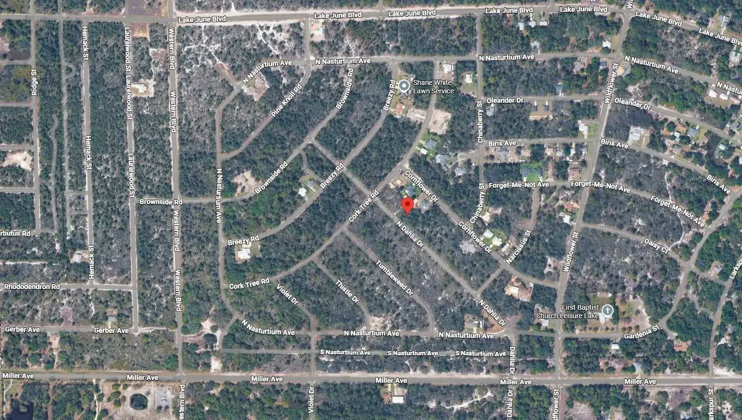 3235 N Dahlia Drive, Lake Placid FL 33852 photo 3
