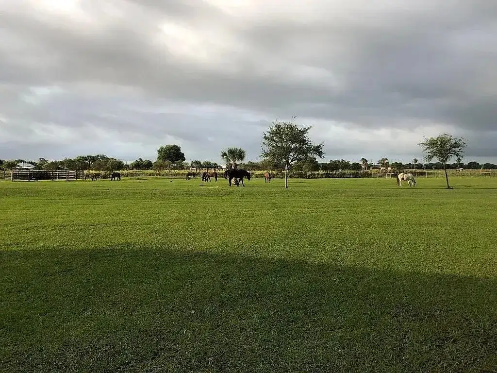 7565 Polo Square, Vero Beach FL 32968 photo 3