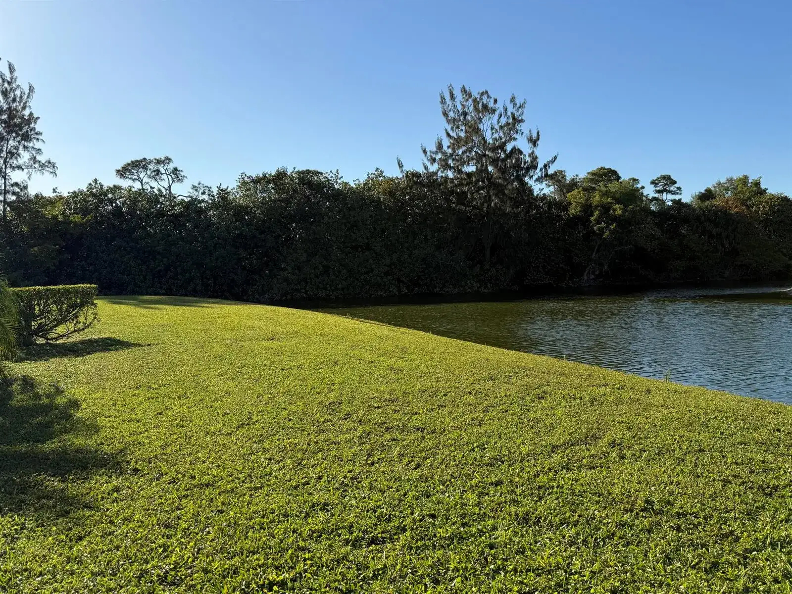 81 Camden Drive # D, West Palm Beach FL 33417 photo 4