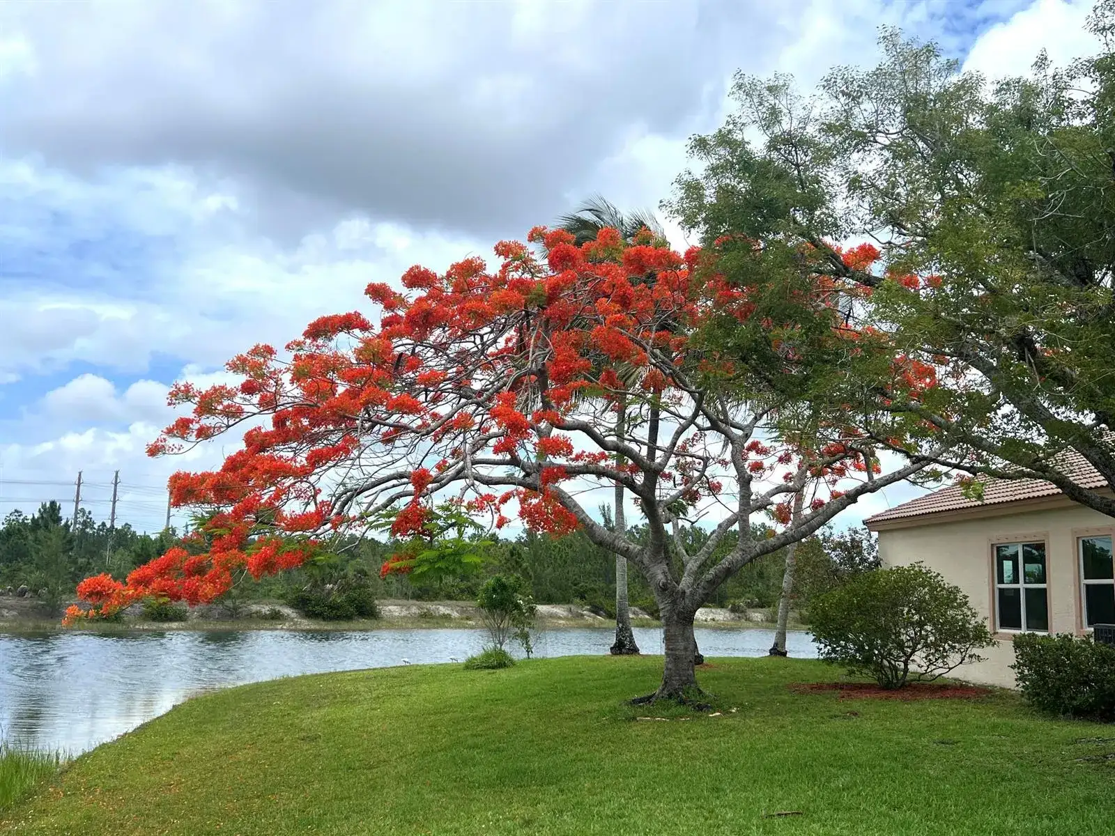 4552 N San Andros, West Palm Beach FL 33411 photo 3