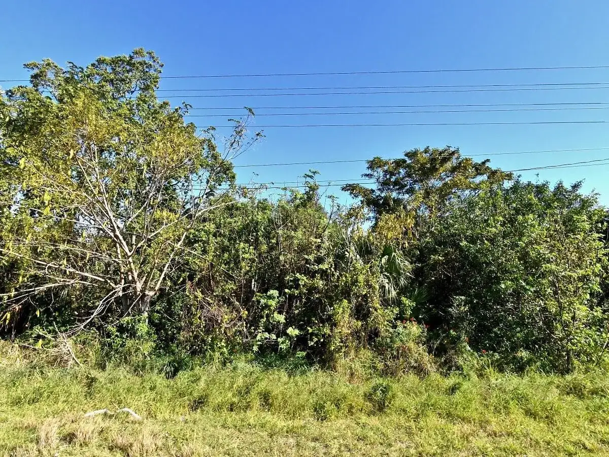 3950 N Us Highway 1, FL 34946 photo 2