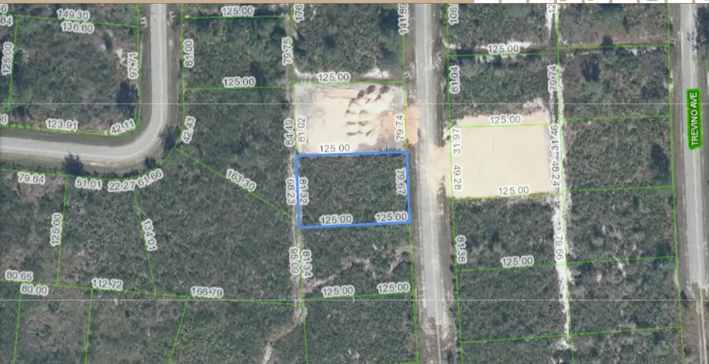 4925 Fettuccine Avenue, Sebring FL 33872 photo 3