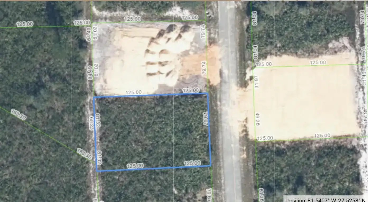 4925 Fettuccine Avenue, Sebring FL 33872 photo 5