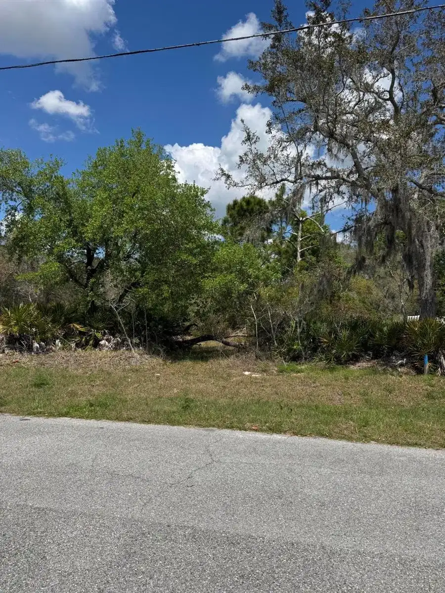 1625 Pickerel Court, FL 34759 photo 2
