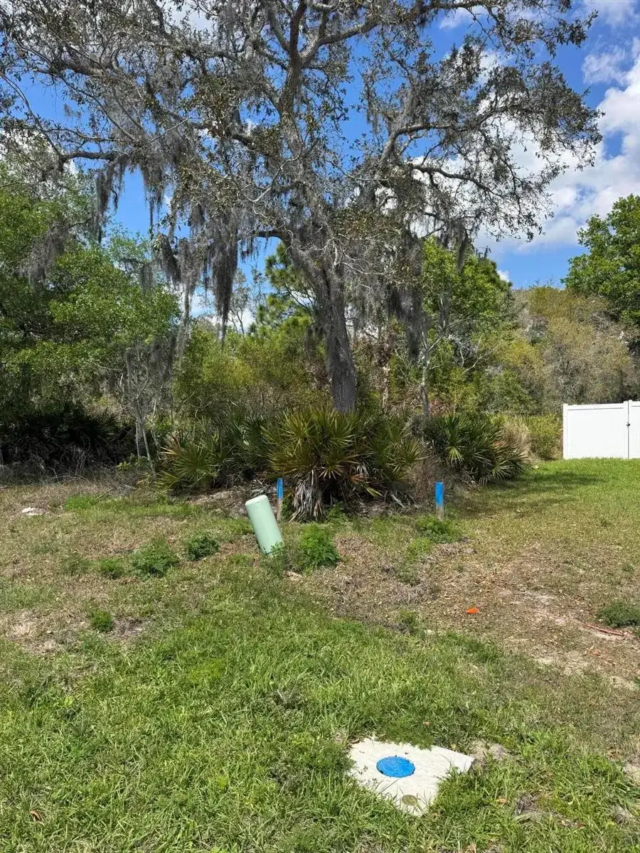 1625 Pickerel Court, FL 34759 photo 3