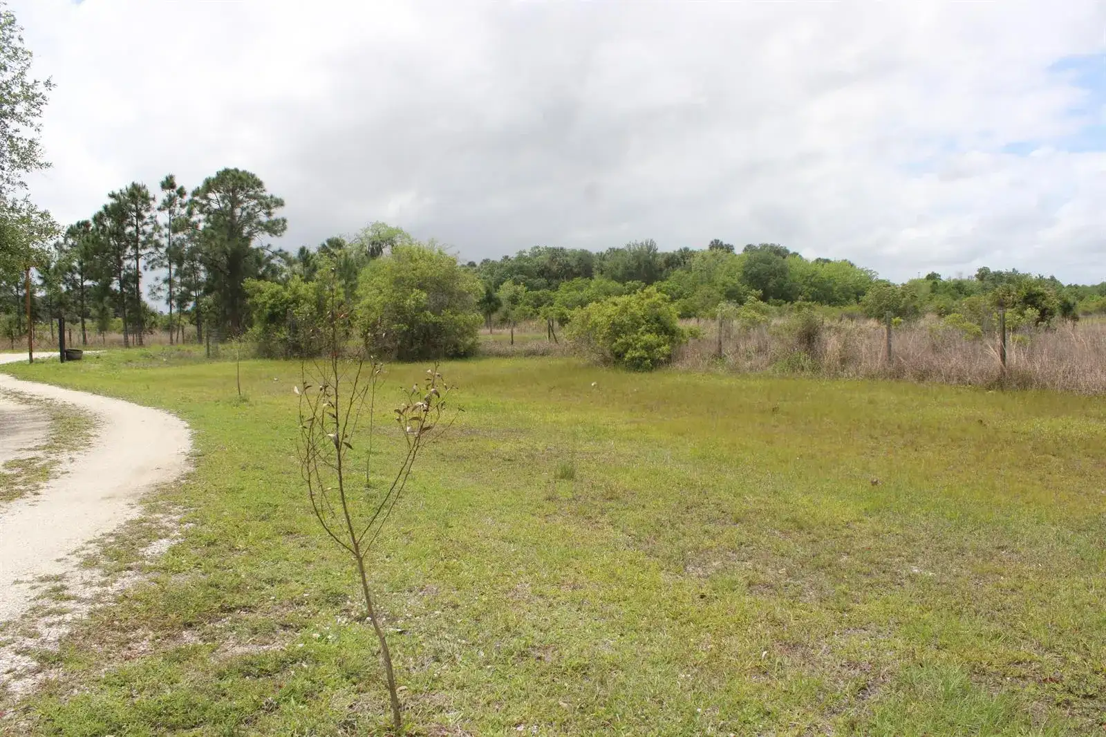 15367 NW 296th Street, Okeechobee FL 34972 photo 5
