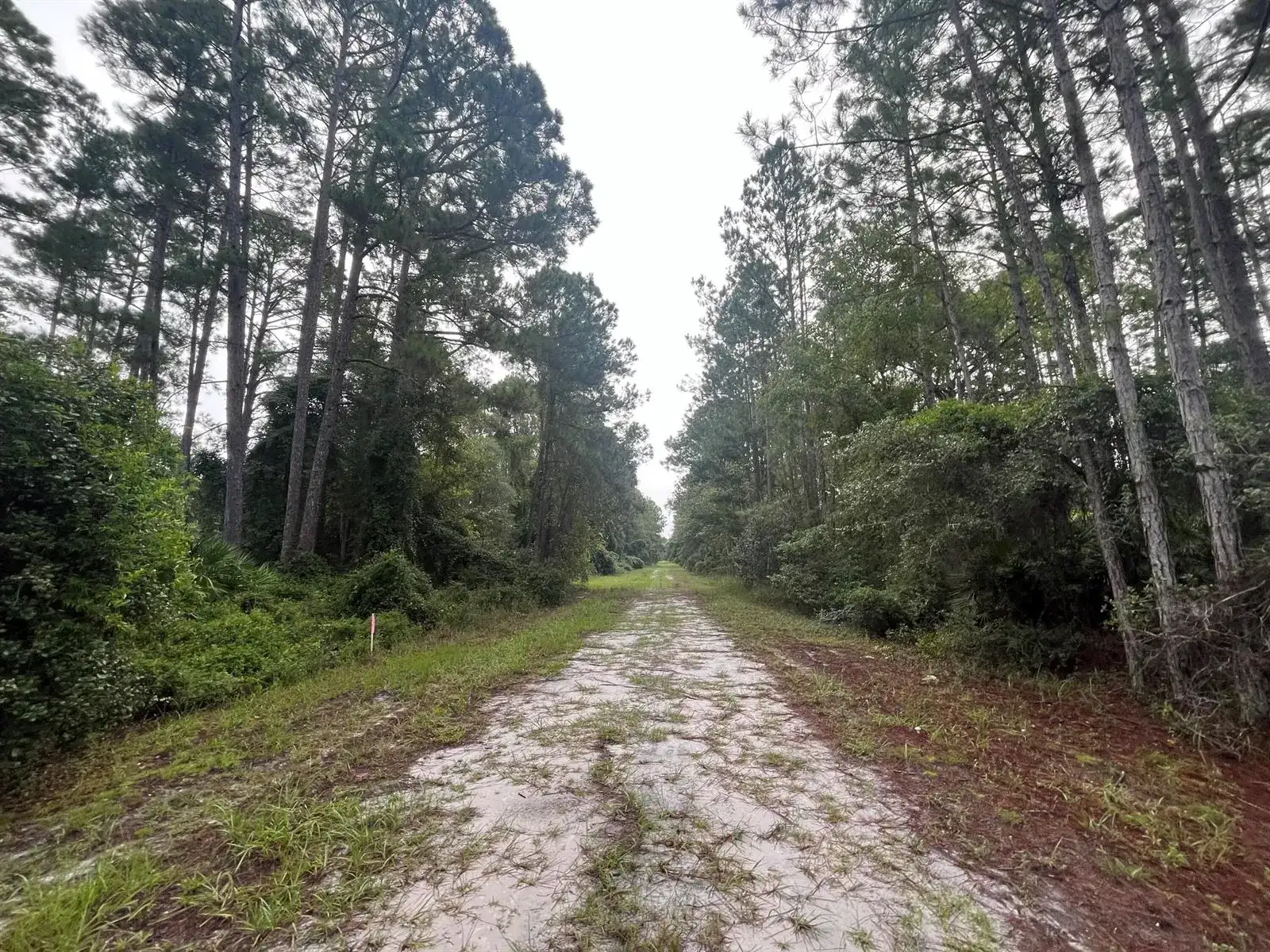 119 Gardenia Avenue, FL 32139 photo 5