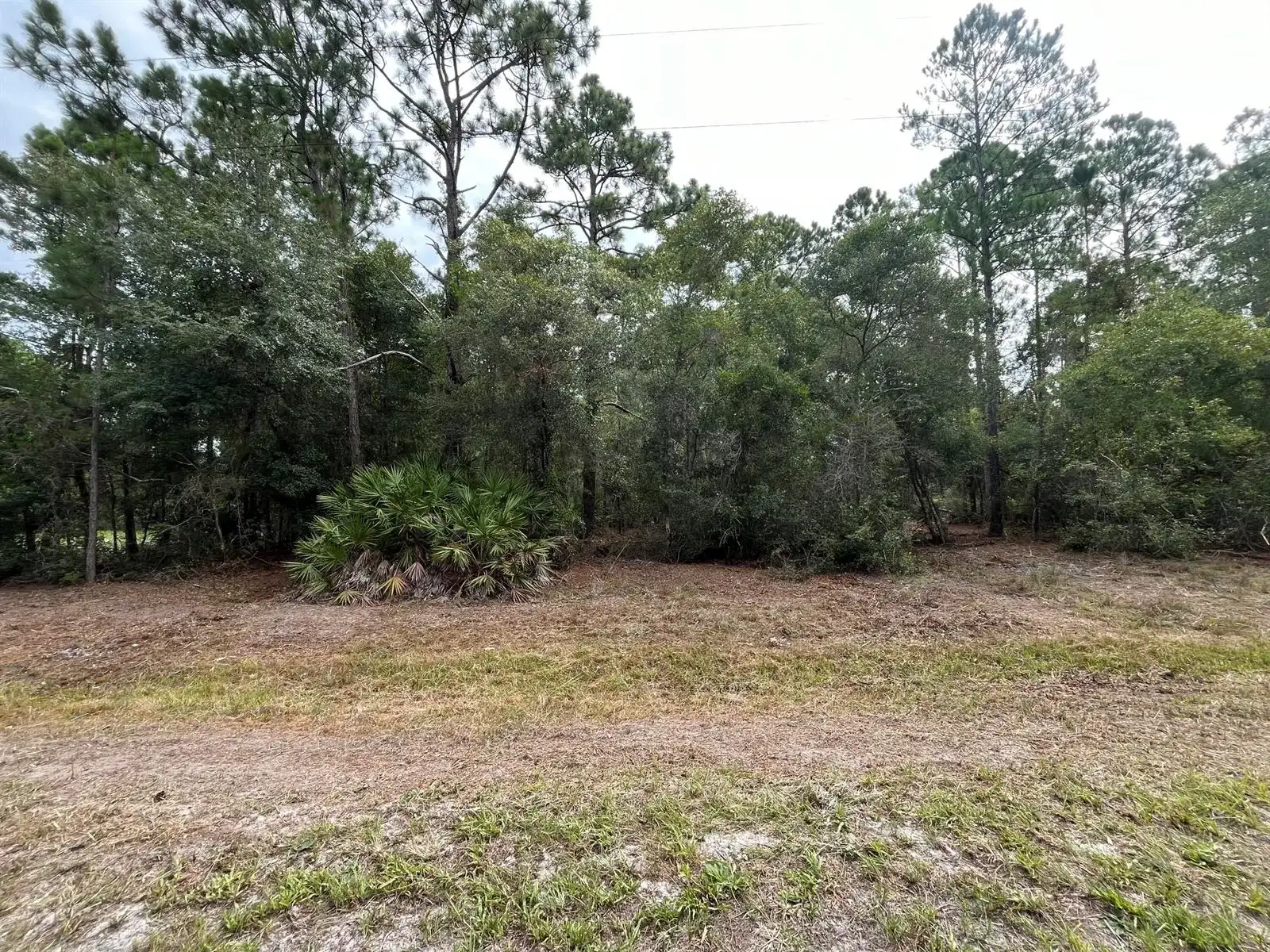 124 Glenside Street, FL 32139 photo 4