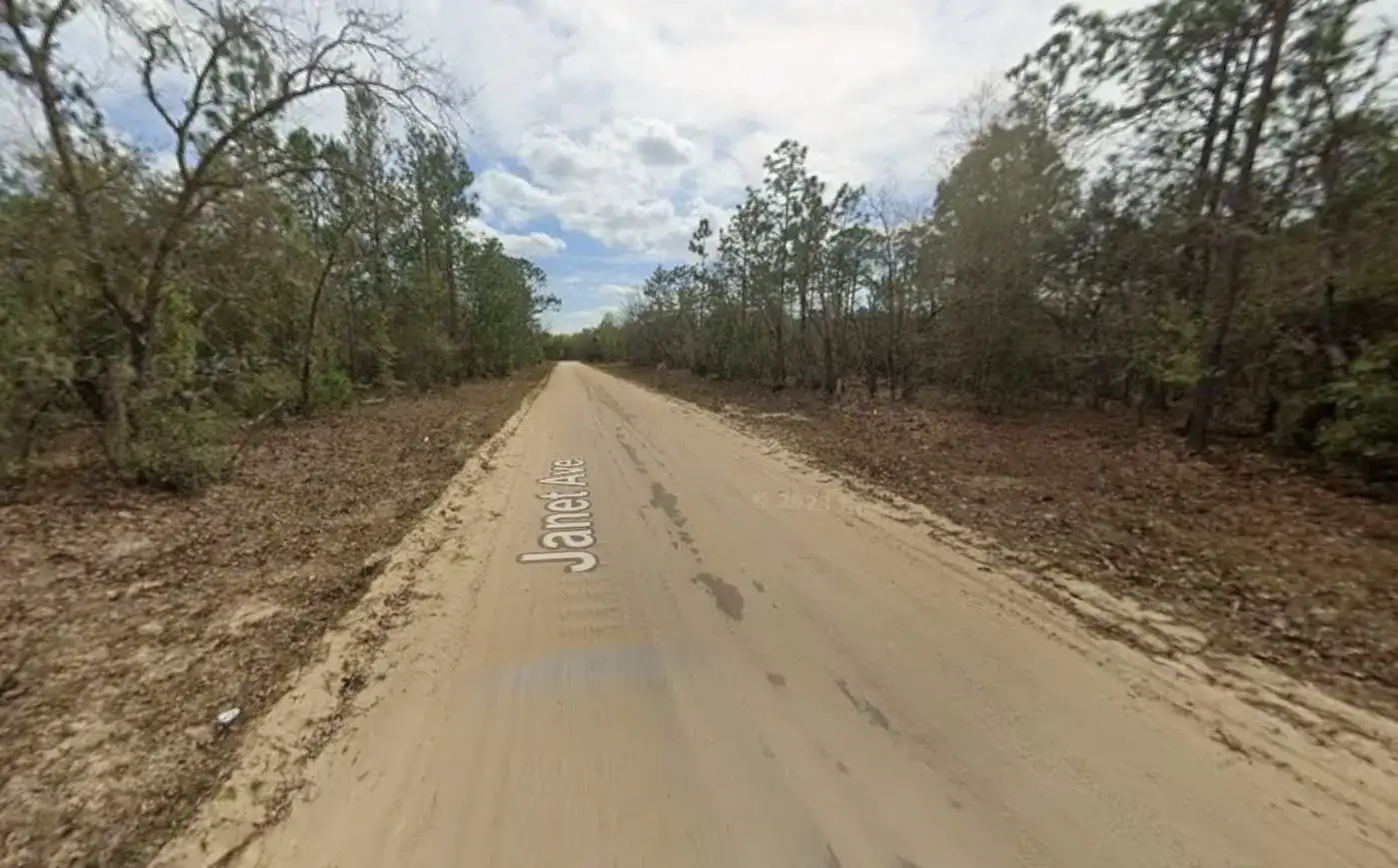 Lot 28 Janet Avenue, FL 32148 photo 2