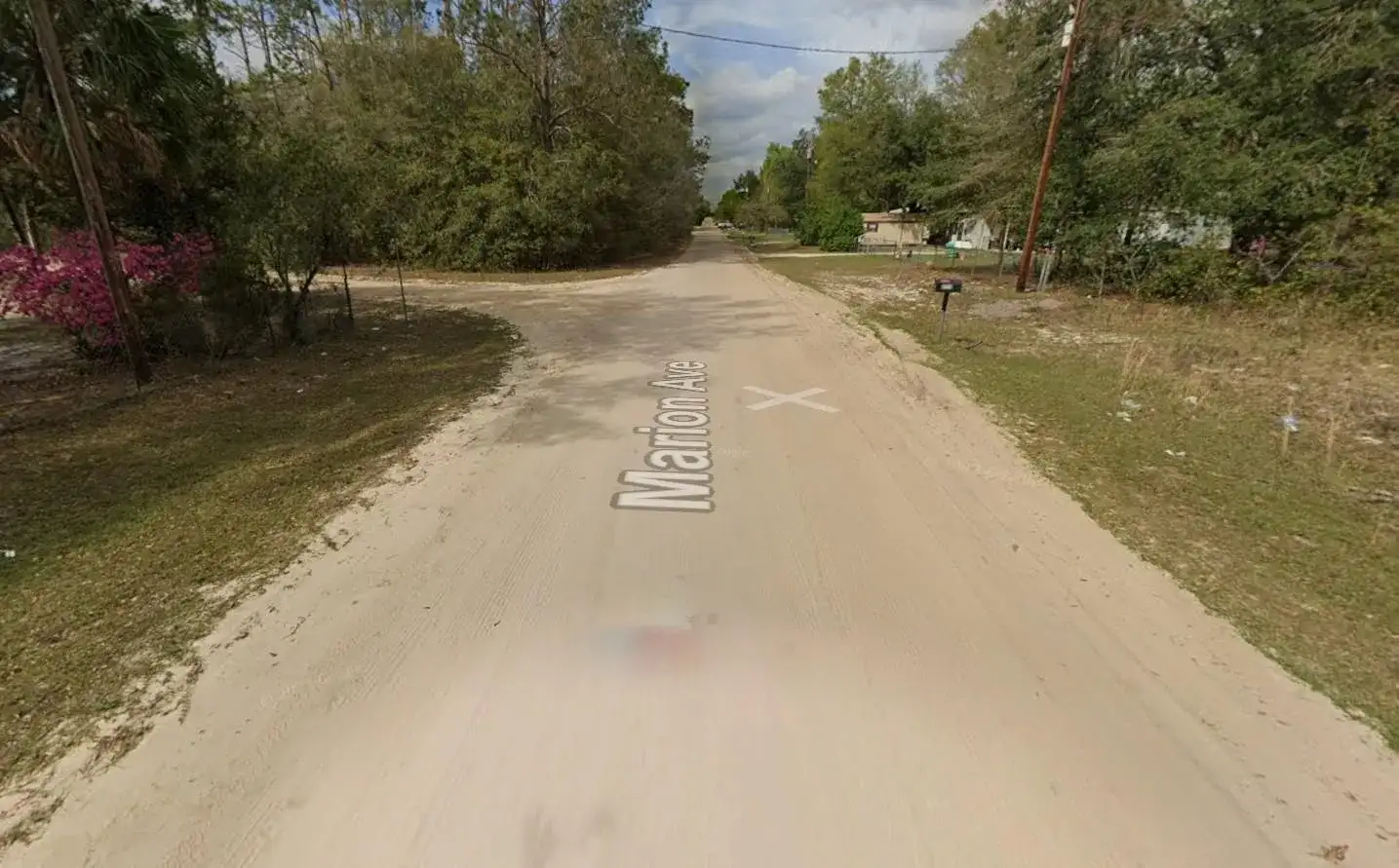 Tbd Marion Avenue, FL 32148 photo 2