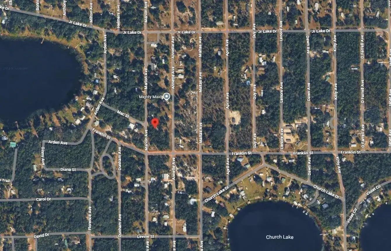 Tbd Marion Avenue, FL 32148 photo 3