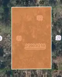 000 Unassigned Location, FL 32148 photo 2