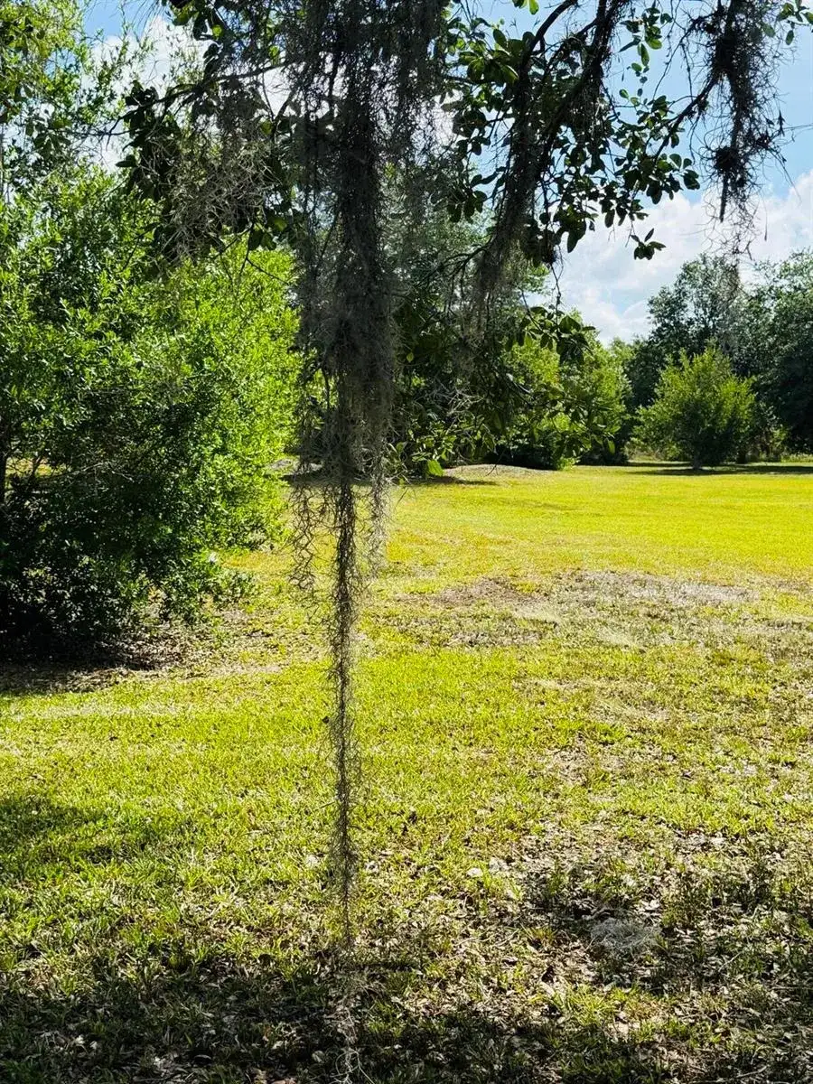 19636 NW 272nd Street, Okeechobee FL 34972 photo 3
