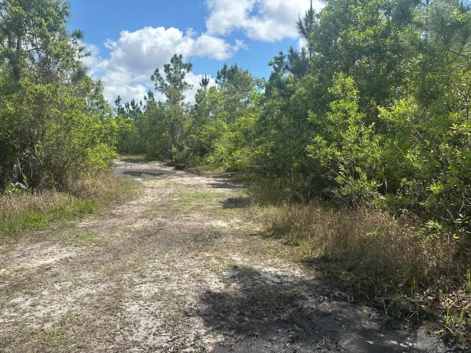 0 Holopaw Groves Road, FL 34772 photo 2