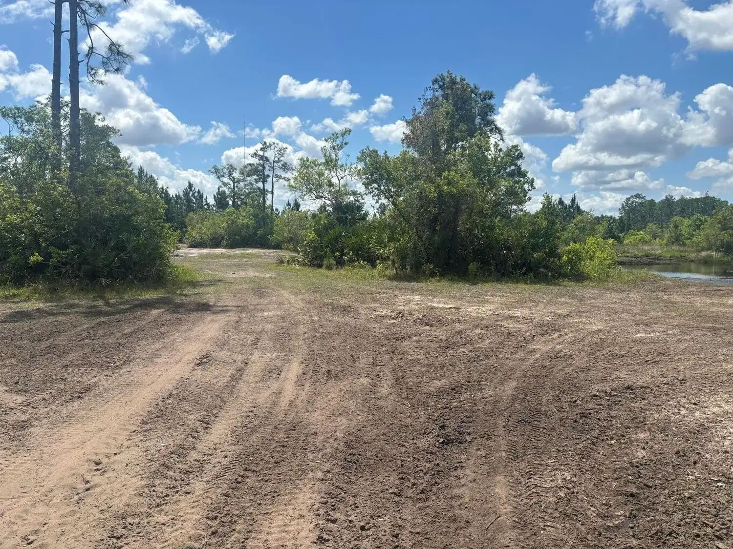 0 Holopaw Groves Road, FL 34772 photo 2