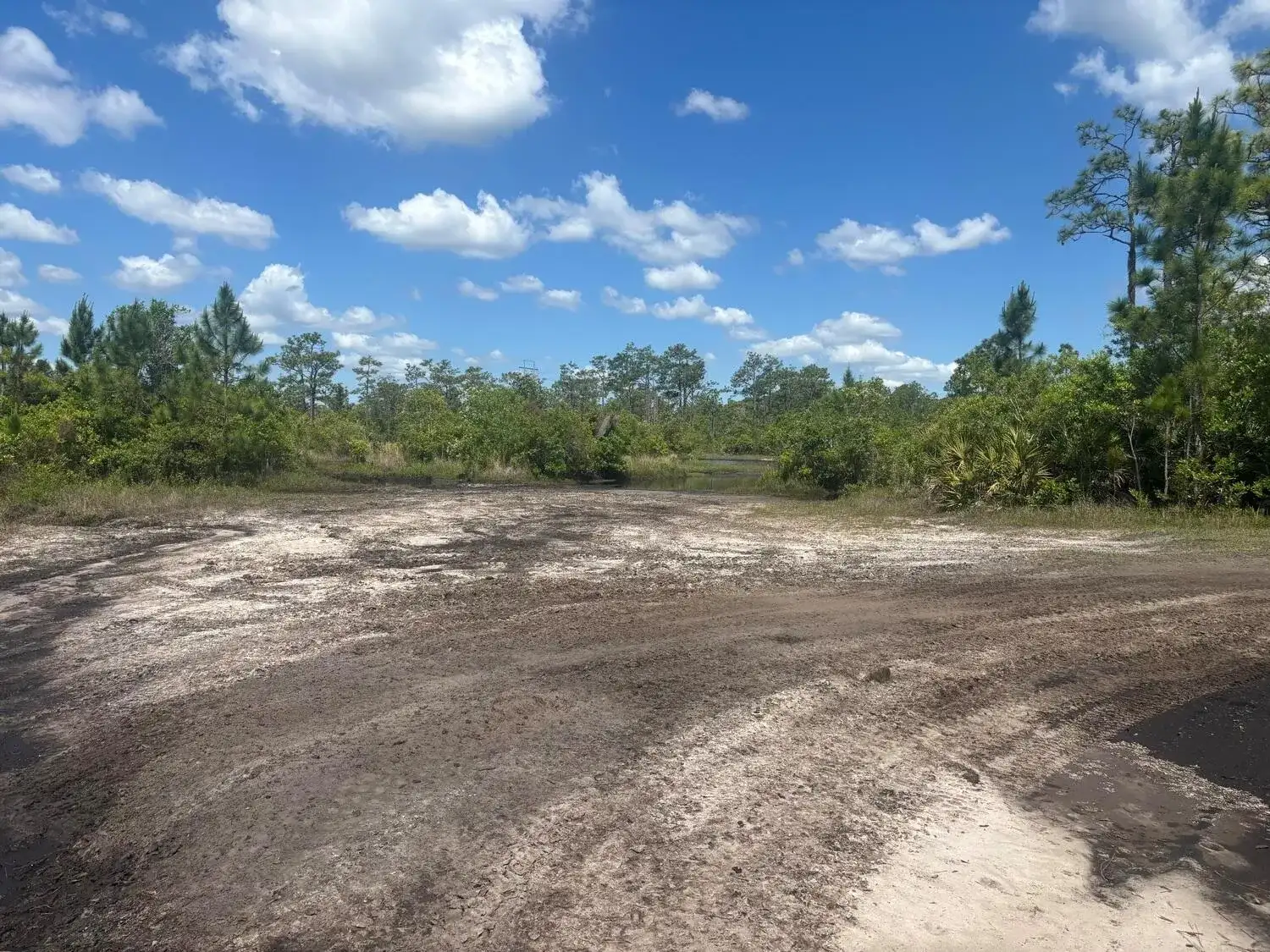 0 Holopaw Groves Road, FL 34772 photo 2