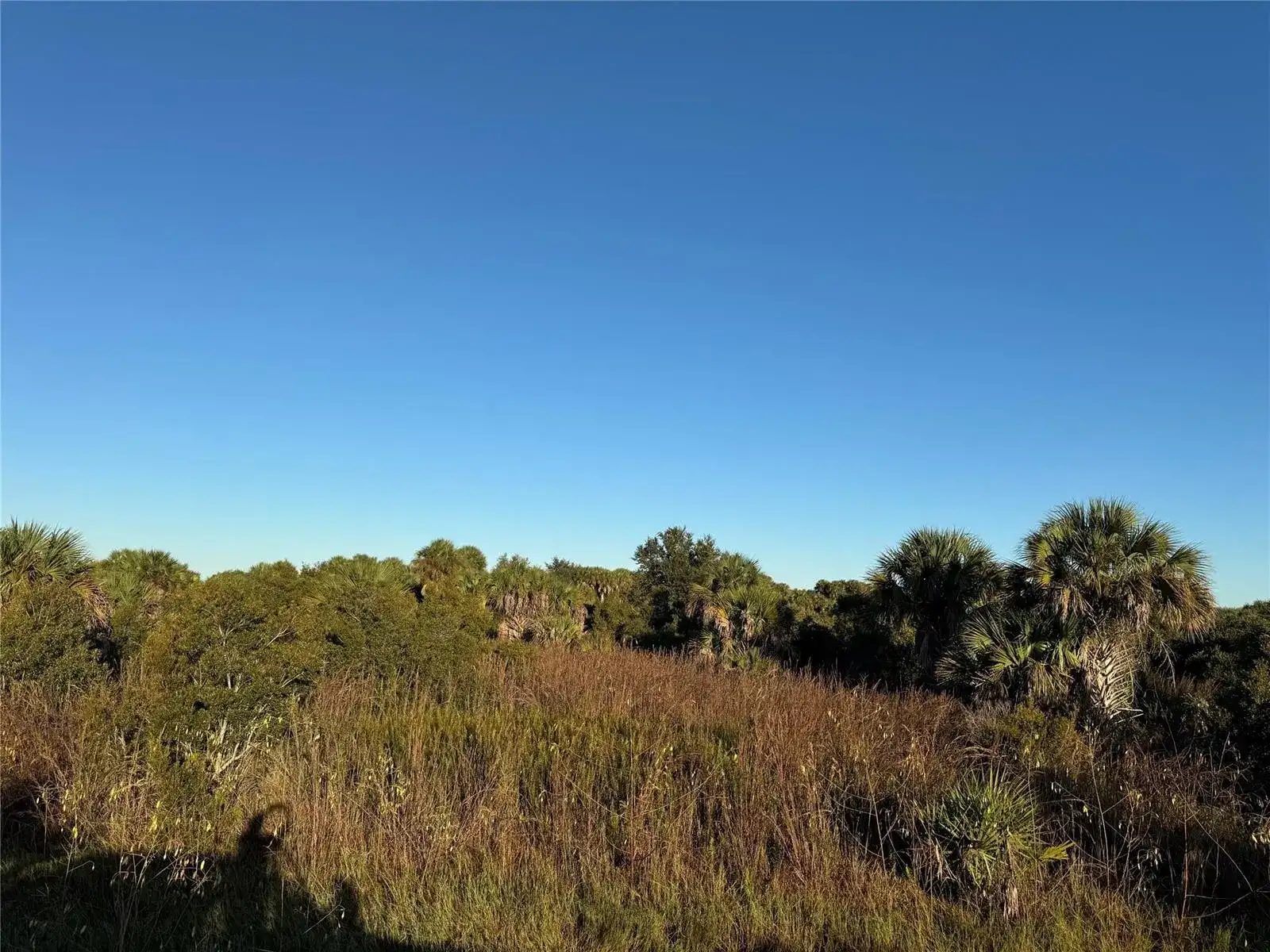 2025 Cabbage Lane, Okeechobee FL 34974 photo 2